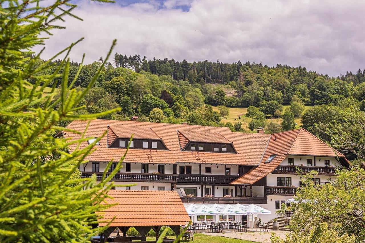 Boutique Wellnesshotel Landmann シュタイネン エクステリア 写真