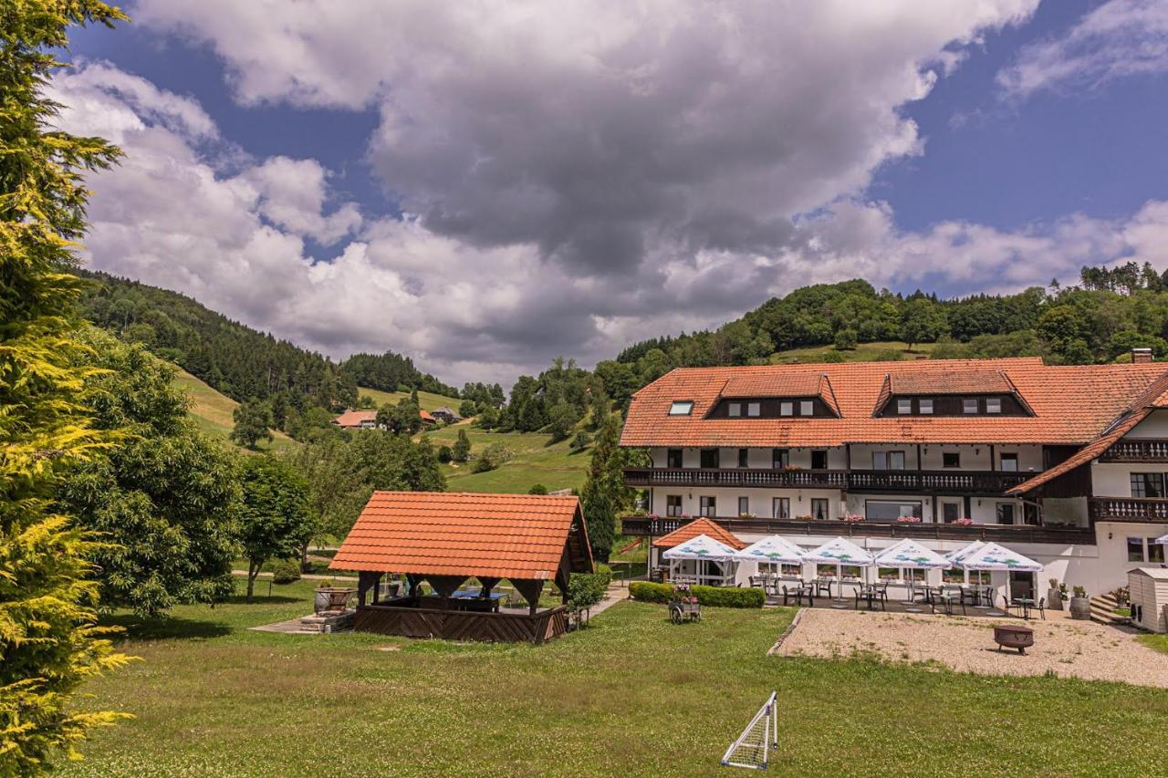 Boutique Wellnesshotel Landmann シュタイネン エクステリア 写真